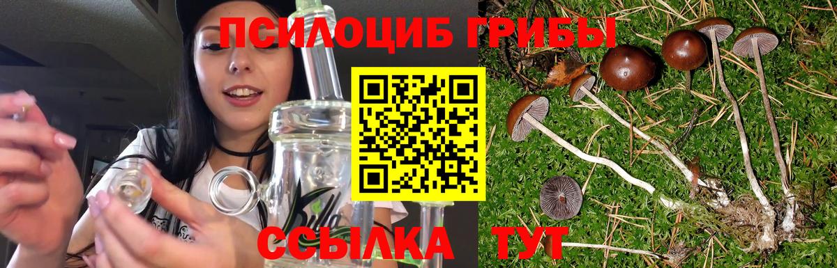 Галлюциногенные грибы мицелий  Вход с VPN  Орехово-Зуево 